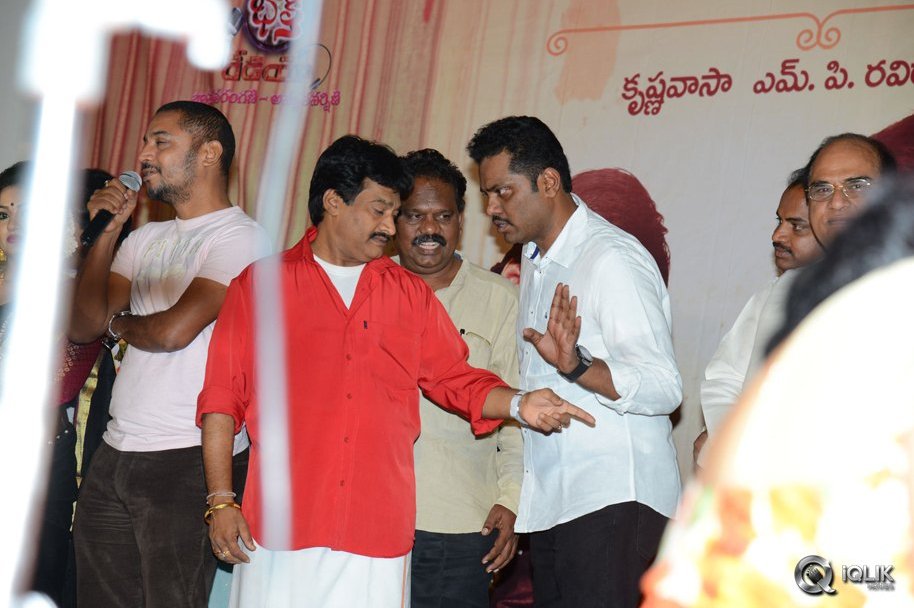 Anushtanam-Movie-Audio-Launch